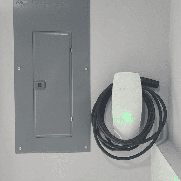 Rogue Electric field work