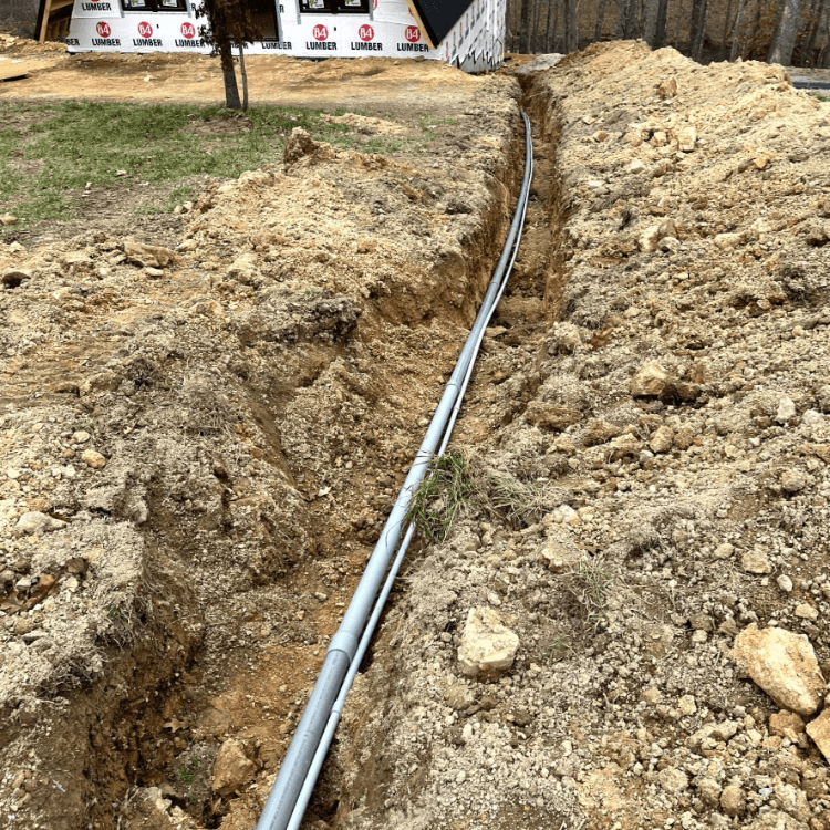 Rogue Electric field work